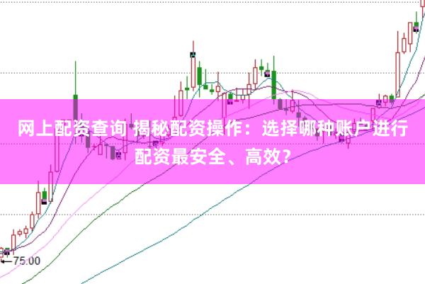 网上配资查询 揭秘配资操作：选择哪种账户进行配资最安全、高效？