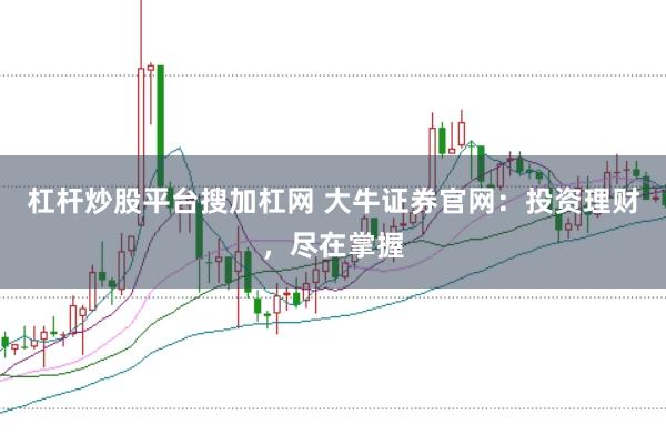 杠杆炒股平台搜加杠网 大牛证券官网：投资理财，尽在掌握