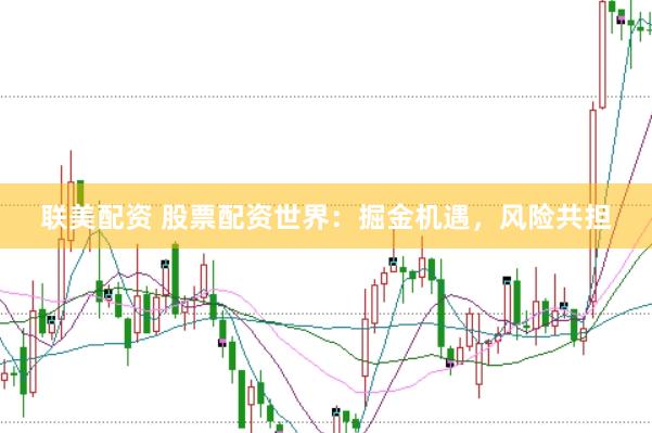 联美配资 股票配资世界：掘金机遇，风险共担