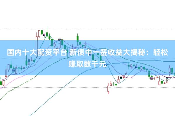 国内十大配资平台 新债中一签收益大揭秘：轻松赚取数千元