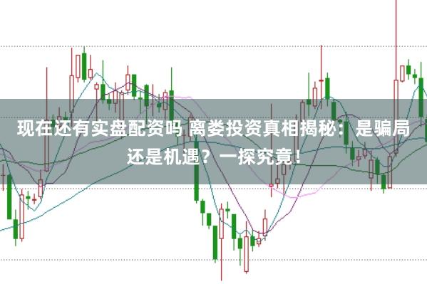 现在还有实盘配资吗 离娄投资真相揭秘：是骗局还是机遇？一探究竟！