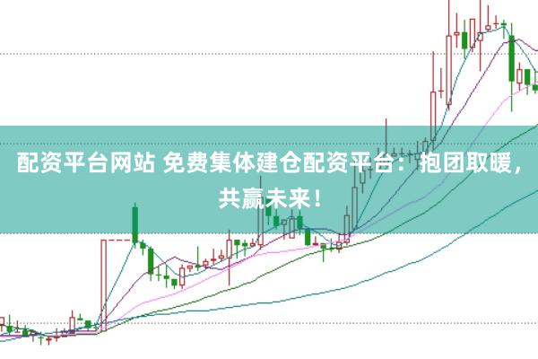 配资平台网站 免费集体建仓配资平台：抱团取暖，共赢未来！