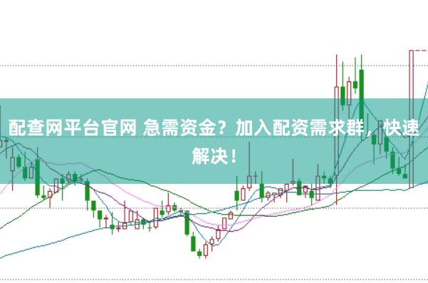 配查网平台官网 急需资金？加入配资需求群，快速解决！