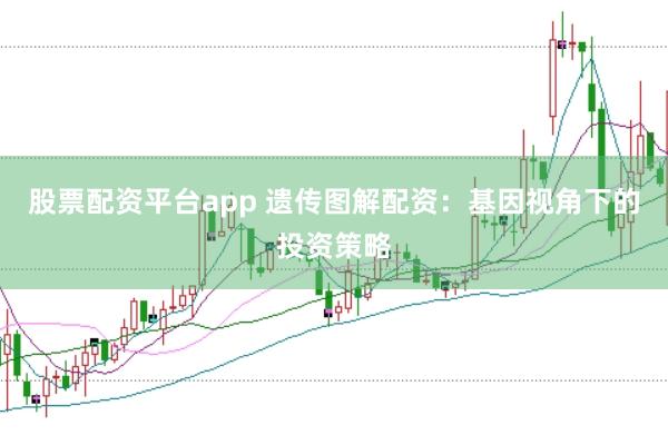 股票配资平台app 遗传图解配资：基因视角下的投资策略