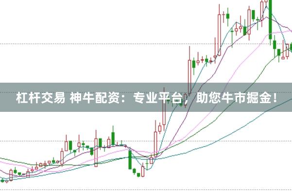 杠杆交易 神牛配资：专业平台，助您牛市掘金！