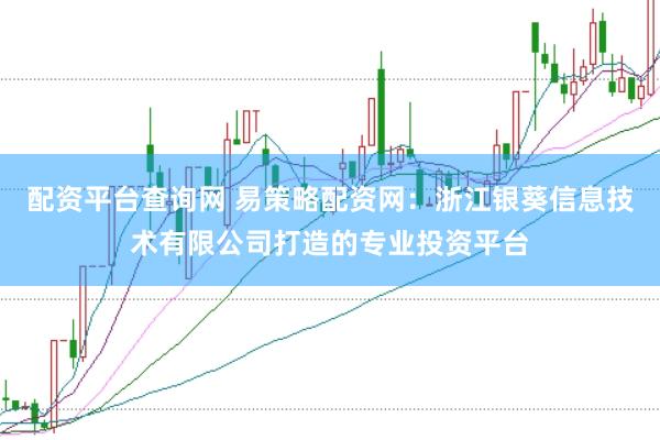 配资平台查询网 易策略配资网：浙江银葵信息技术有限公司打造的专业投资平台