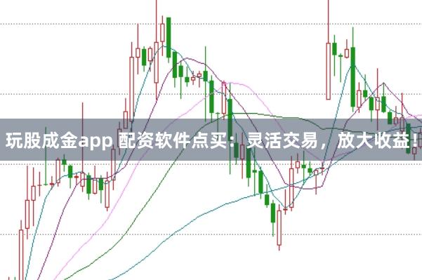 玩股成金app 配资软件点买：灵活交易，放大收益！