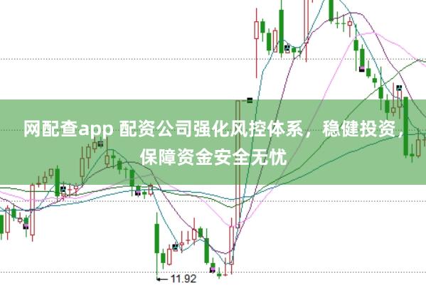 网配查app 配资公司强化风控体系，稳健投资，保障资金安全无忧