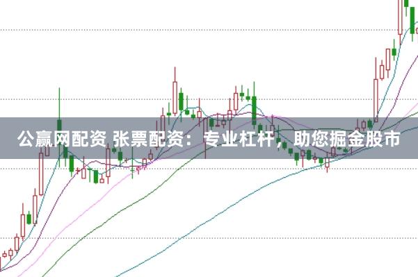 公赢网配资 张票配资：专业杠杆，助您掘金股市