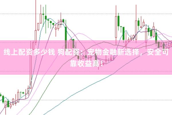 线上配资多少钱 狗配资：宠物金融新选择，安全可靠收益高！