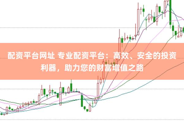 配资平台网址 专业配资平台：高效、安全的投资利器，助力您的财富增值之路