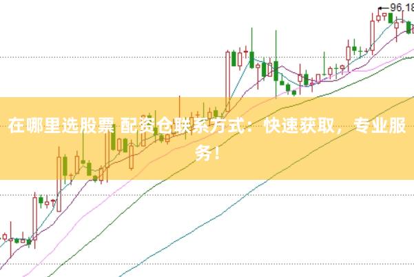在哪里选股票 配资仓联系方式：快速获取，专业服务！