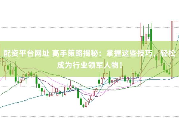 配资平台网址 高手策略揭秘：掌握这些技巧，轻松成为行业领军人物！