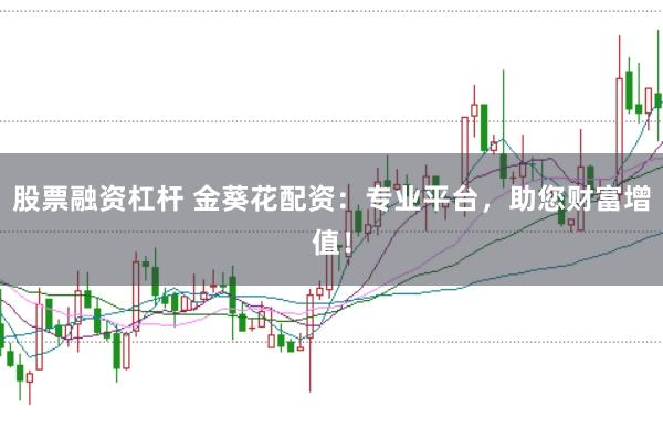 股票融资杠杆 金葵花配资:专业平台,助您财富增值!