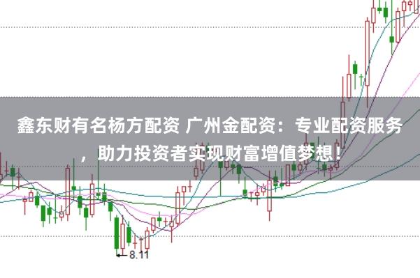 鑫东财有名杨方配资 广州金配资:专业配资服务,助力投资者实现财富增值梦想!