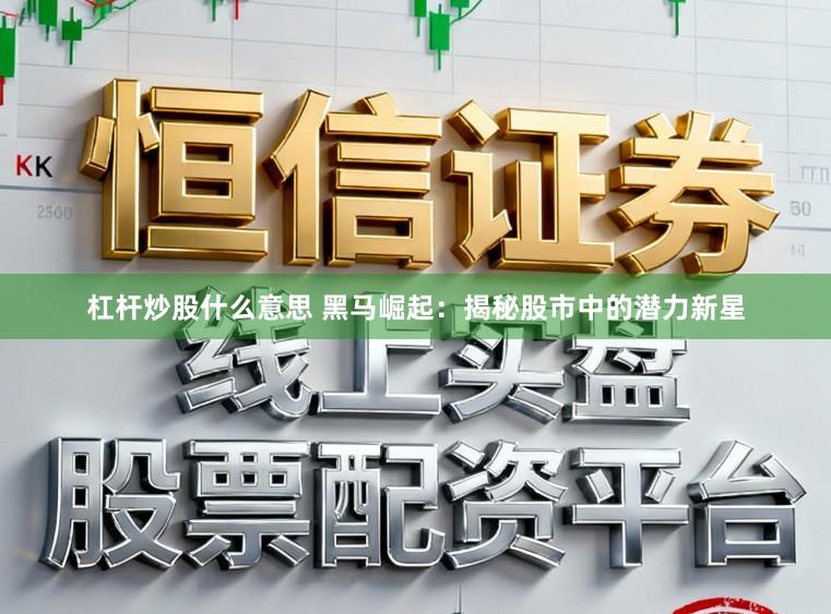 杠杆炒股什么意思 黑马崛起：揭秘股市中的潜力新星